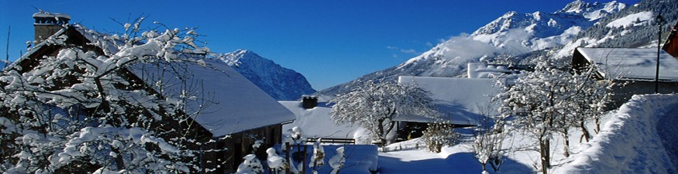 banniere station ski vaujany