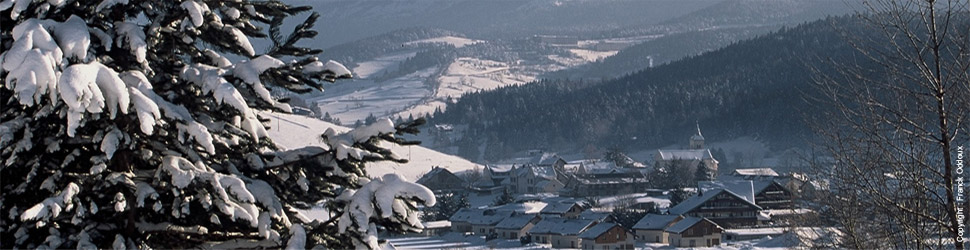 banniere station ski villard de lans