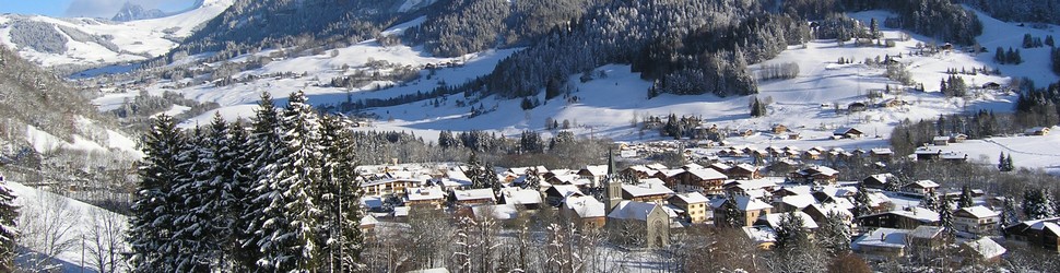 banniere station ski praz sur arly