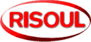 logo station ski risoul