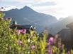 Rsidence Montana Planton - Tignes