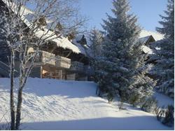 Residence Le Bois de la Reine - Besse-et-Saint-Anastaise