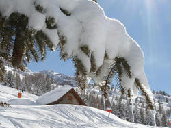 Residence RsidHotel Les Valmonts de Vaujany - Vaujany