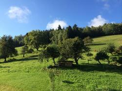 Hotel Le Floralp - Combloux