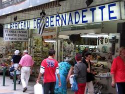 Chambres au Berceau de Bernadette - Lourdes