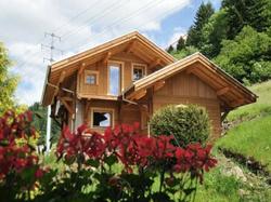 Les Chalets des Chatelmins - La Bresse