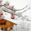 Résidence Néméa Les Chalets Des Evettes Flumet
