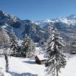 Les Sorbiers Montricher-Albanne