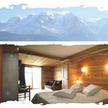 La Joubarbe au Balcon du Mont-Blanc Cordon