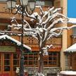 Les Peupliers Courchevel