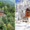 Les Campanules Les Houches